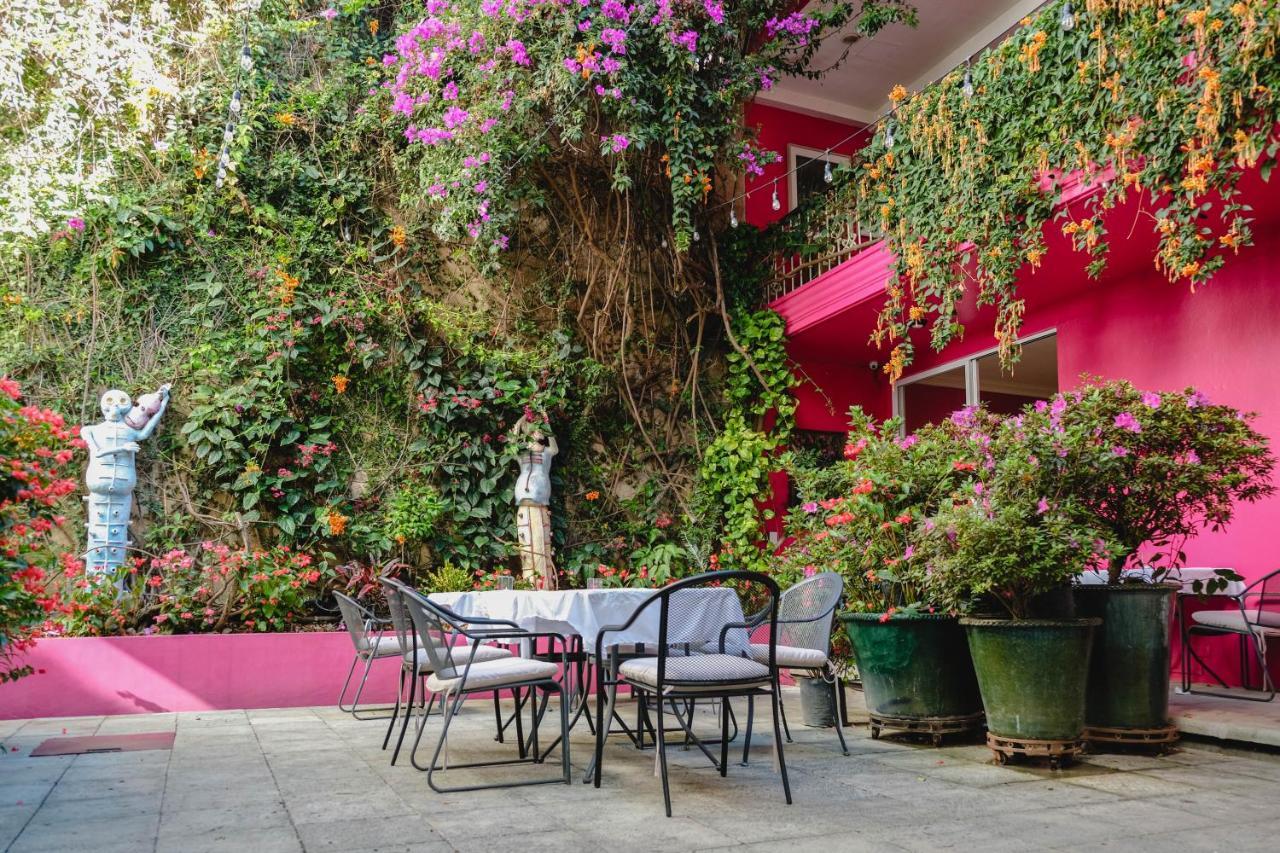 Casa De Las Bugambilias B&B Oaxaca 外观 照片