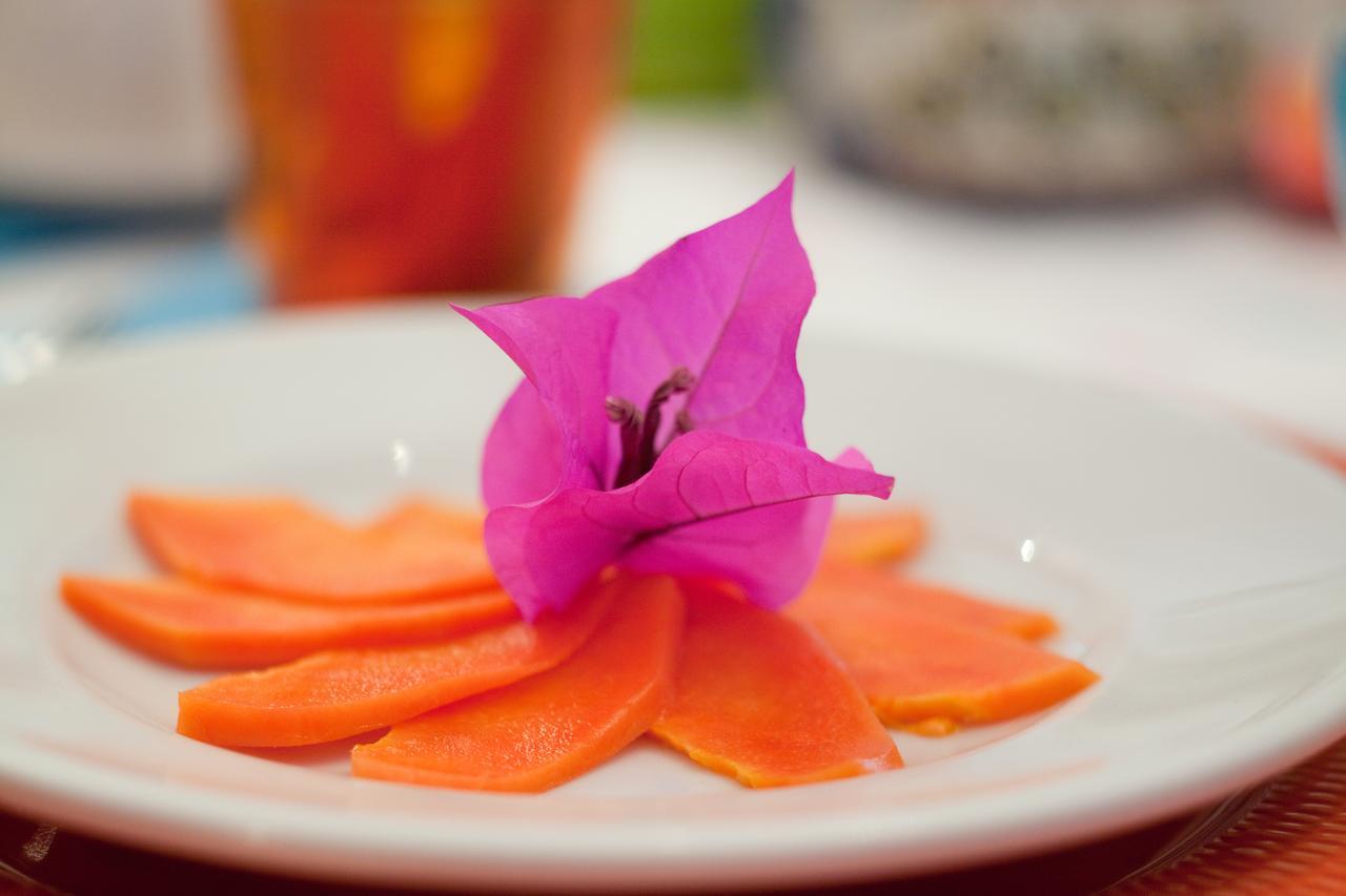 Casa De Las Bugambilias B&B Oaxaca 外观 照片